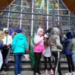 IMG_20190529_162909752