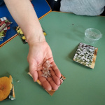IMG20230309100024